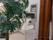 1000 Yard Full Furnished Banglow For Rent DHA Phase 8