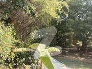 1000 Yard Old Bangalow On Main Karsaz Road Facing 2 Side...