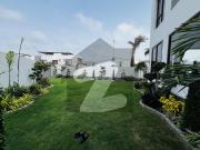 1000 Yards Brand New Beautiful Bungalow Is Available For...