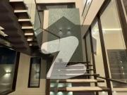 1000 Yards Brand New Bungalow For Sale In DHA Phase 7...