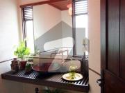 1000 Yards Bungalow For Rent With Basement DHA Phase 8