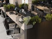 1000 Yards Commercial /Office Use Bungalow For Rent In...