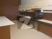 1000 yards portion for rent dha phase 6