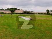 1000 yards prime location in precinct 17