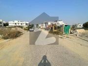 1000 Yards West Open Plot For Sale | Off Kh Roomi DHA...