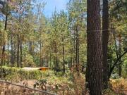 1000m de terreno boscoso en Cerro Gordo, Valle de Bravo