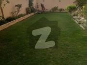 1000sq Banglow g+1.10 bed dd