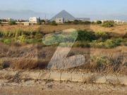 1000sq Yards Plot Available For Sale