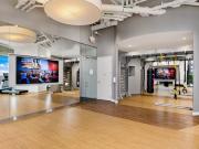 1001 South State One Bedroom 07