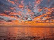 1003 1835 Morton Avenue, Vancouver, BC, V6G 1V3 Single...