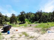 100 acres agricultural land with single title