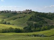 100 anni di Vino in OLTREPO