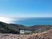 100 HA. OCEAN VIEW VECINO DE CUATRO CUATROS VALLE DE...