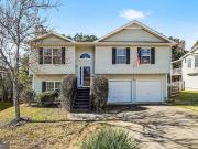 100 Hunter Pl, Dallas, GA 30132