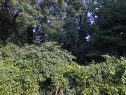 100 m2 apartment for rent in Thônex