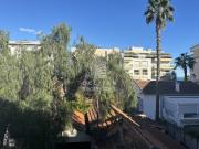 100 mètres de la mer Cannes Palm Beach