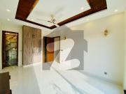 100 % Original Picture Modern Brand New Bungalow For...