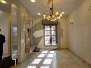 100 Yard Beautiful House Available For Rent DHA Phase 8