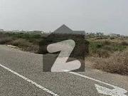 100 Yards Commercial Plot On Sahil Street 04, Phase VIII...