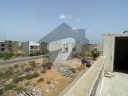 100 Yards independent House For Rent In Phase 08 DHA Phase 8