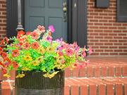 1018 Sherman Street SE 1018 Sherman Street SE