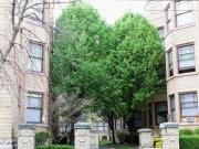 1026 S Fourth St 1 Bedroom, 1 Bathroom