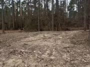 1028 RED WINGS RD, BISMARCK, AR 71929