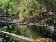 102 hectáreas en venta: Un terreno listo para producir,...