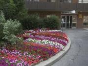 1051 Seneca Ave Studio Apartment for Rent at 1051 Seneca...