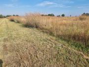 105 ha Farm in Bapsfontein