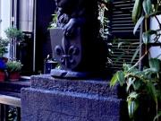 105 qm Altbau Appartment mit Balkon und Wintergarten