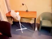 1073 unilodge broadway, Sydney