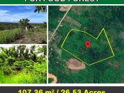 107,366 m2 / 26.53 Acres | Large Estate of Land for Food...