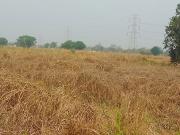 1089 Sq.Ft. Plot in Chanje Navi Mumbai