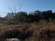 10.000,00 M2 S/AV. 147. BÂ° ITAEMBE MINI. POSADAS....