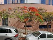 10 50 m2 office space for rent in Santa Cruz de Tenerife