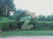 10 Beds House For Rent F 11/2