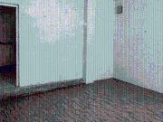10 BHK Independent Builder Floor in Ichapur for rent...