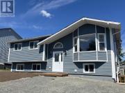 10 Eighth Avenue, Grand Falls Windsor, NL, A2B 1J5 house...
