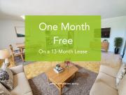 10 Garfella Drive Studio [object Promise] for Rent