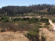 10 HA EN CASABLANCA,SECTOR LAGUNILLAS CON LUZ Y AGUA