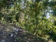 10 hectare lot along Eden Bayabas Toril