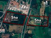 10 HECTÁREAS EN VENTA EN MATA DE PITA VERACRUZ | ARLETTE...