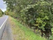 10 Highway, Cookville, NS, B4V 7R3 vacant land for sale Lis.