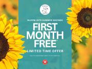 10 Jayzel Drive 1 bedroom, 1 bathroom with a balcony... 10 Jayzel Drive 1 bedroom, 1 bathroom with a balcony...