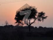 10 Marla 35*70 in Block D Plot on Main Double Road Wapda...