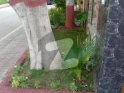 10 marla basement house With solar system for sale in...