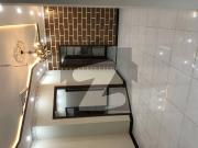 10 Marla Beautiful Double Story House Available For Family