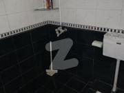 10 Marla Beautiful double story house urgent for Rent in...