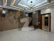 10 marla beautiful full house for rent 10 marla beautiful full house for rent